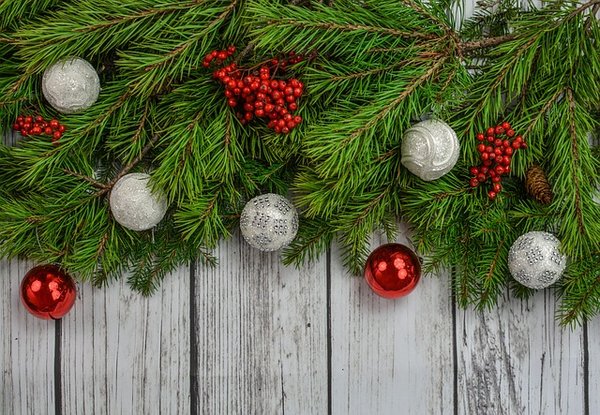 L'essentiel à savoir à propos du sapin en bois